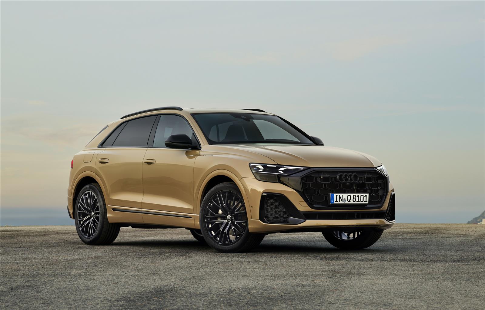 audi_q8_2024 (5).jpg